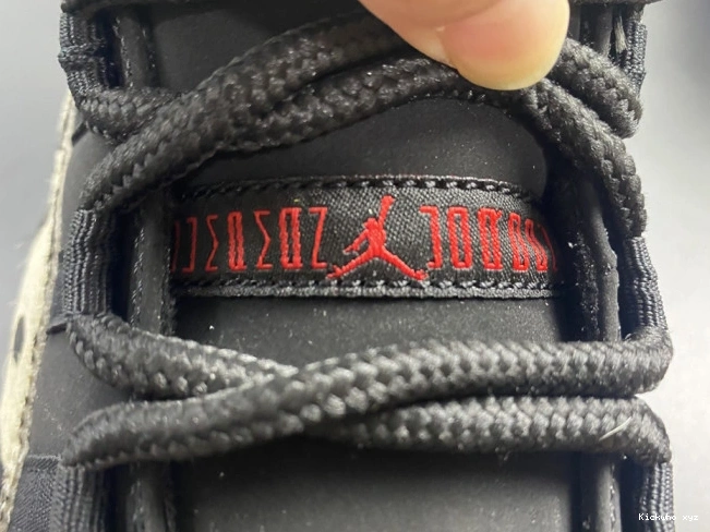 11 JORDAN AIR AR0715-010 INSTINCT ANIMAL 0710